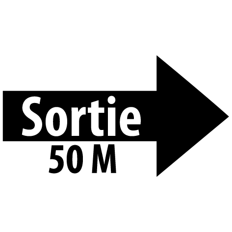 Sticker flèche sortie droite 50M : SF17